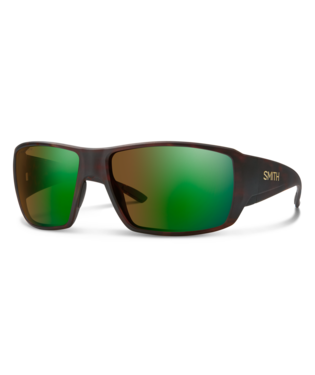 Tortoise-Green-Brown.png